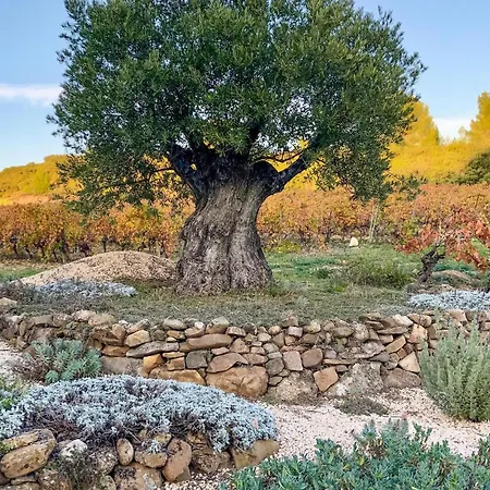 Awesome In Murviel-les-beziers With Wifi Hébergement de vacances