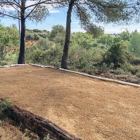 Pet Friendly In Murviel-les-beziers