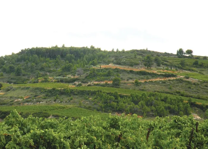 Amazing In Murviel-les-beziers *