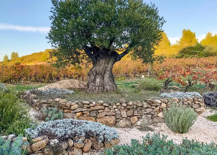 Amazing In Murviel-les-beziers Prázdninový dům